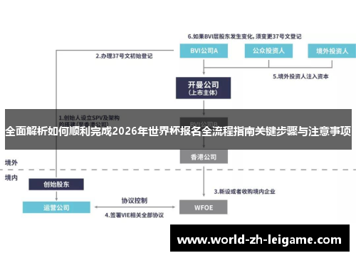 全面解析如何顺利完成2026年世界杯报名全流程指南关键步骤与注意事项