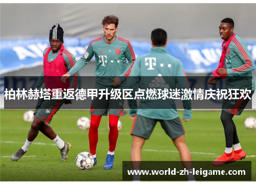 柏林赫塔重返德甲升级区点燃球迷激情庆祝狂欢