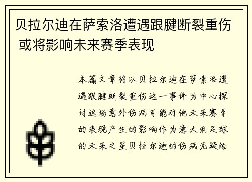 贝拉尔迪在萨索洛遭遇跟腱断裂重伤 或将影响未来赛季表现